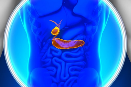 Gallbladder Cancer